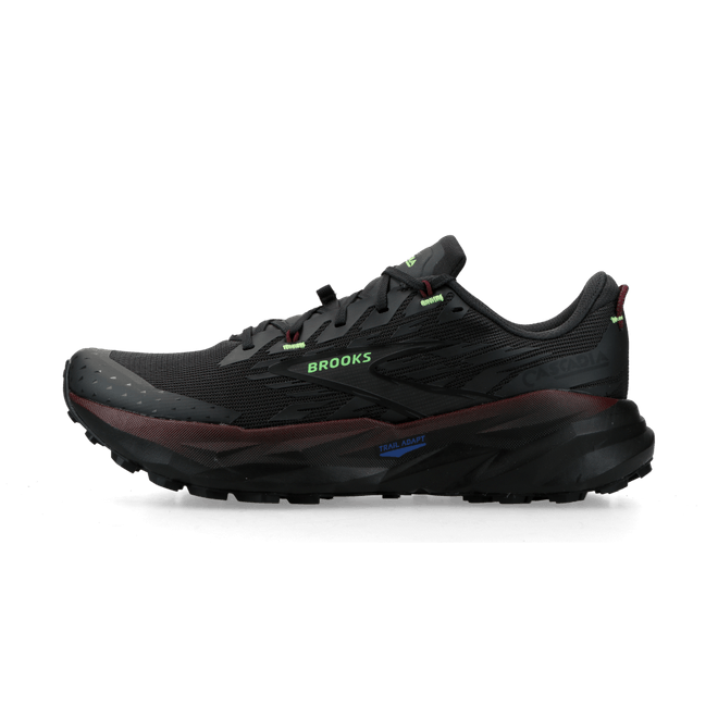 Brooks Cascadia 19 phantom