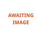 Buy CONVERSE CHUCK TAYLOR ALL STAR TRI ZIP COLLECTION – WOMENS – AVAILABLE NOW