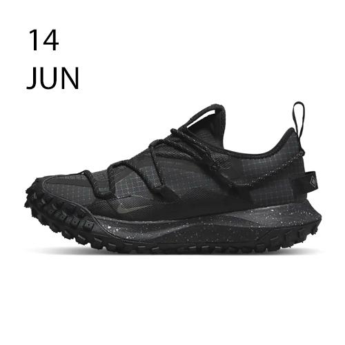 Nike ACG Mountain Fly Low GTX SE Dark Smoke – AVAILABLE NOW